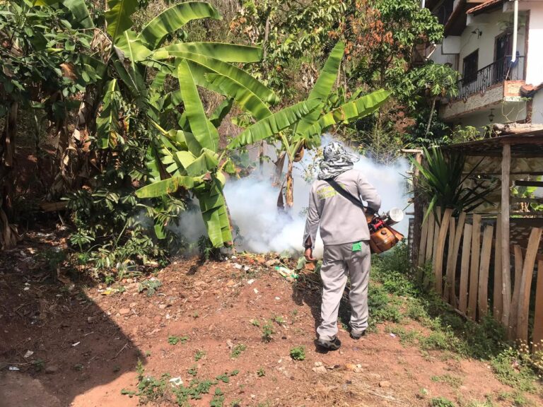 Combaten el dengue en Seboruco