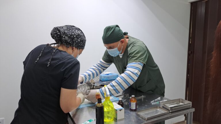 Atienden a más de 500 mascotas en tercera Jornada Masiva de Castración y Esterilización