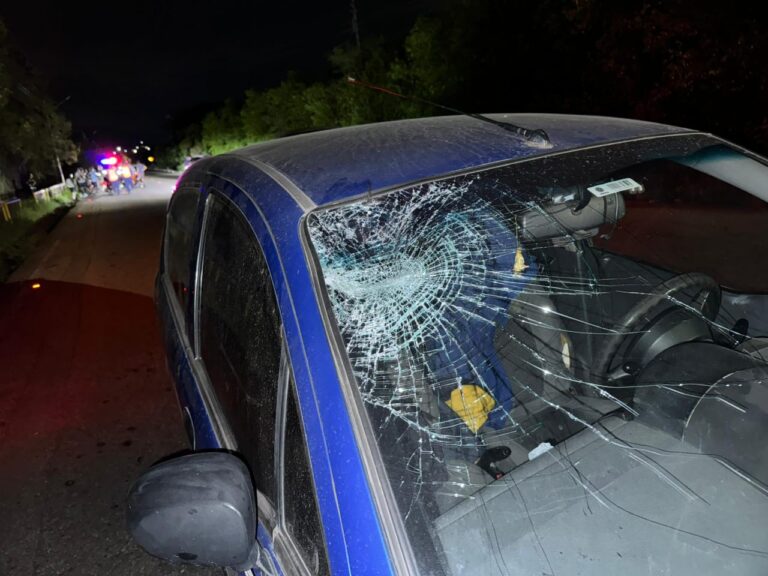 Vehículo impacta con un potro en la vía San Antonio – El Palotal