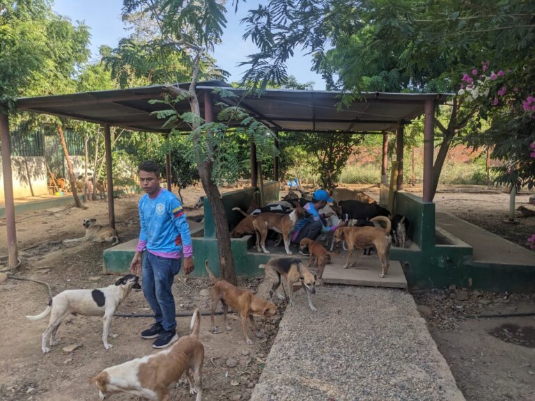 Refugio para animales requiere de un «gran espaldarazo»