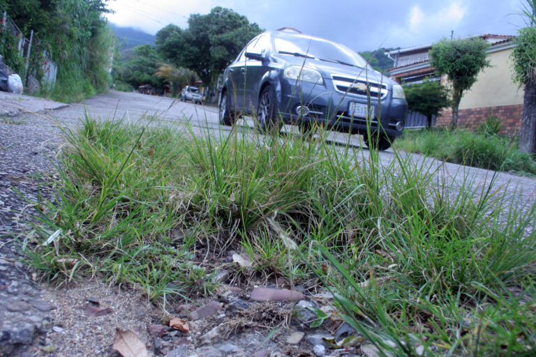 Intransitable calle principal del Polígono de Tiro