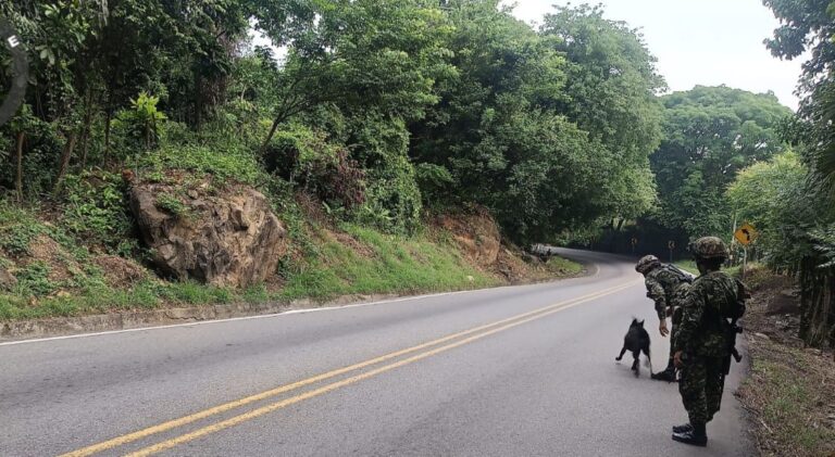 Frustran otro intento de sembrar pánico en Norte de Santander
