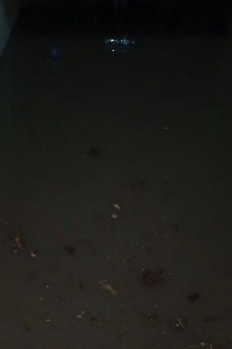 Viviendas anegadas en San Antonio por aguacero