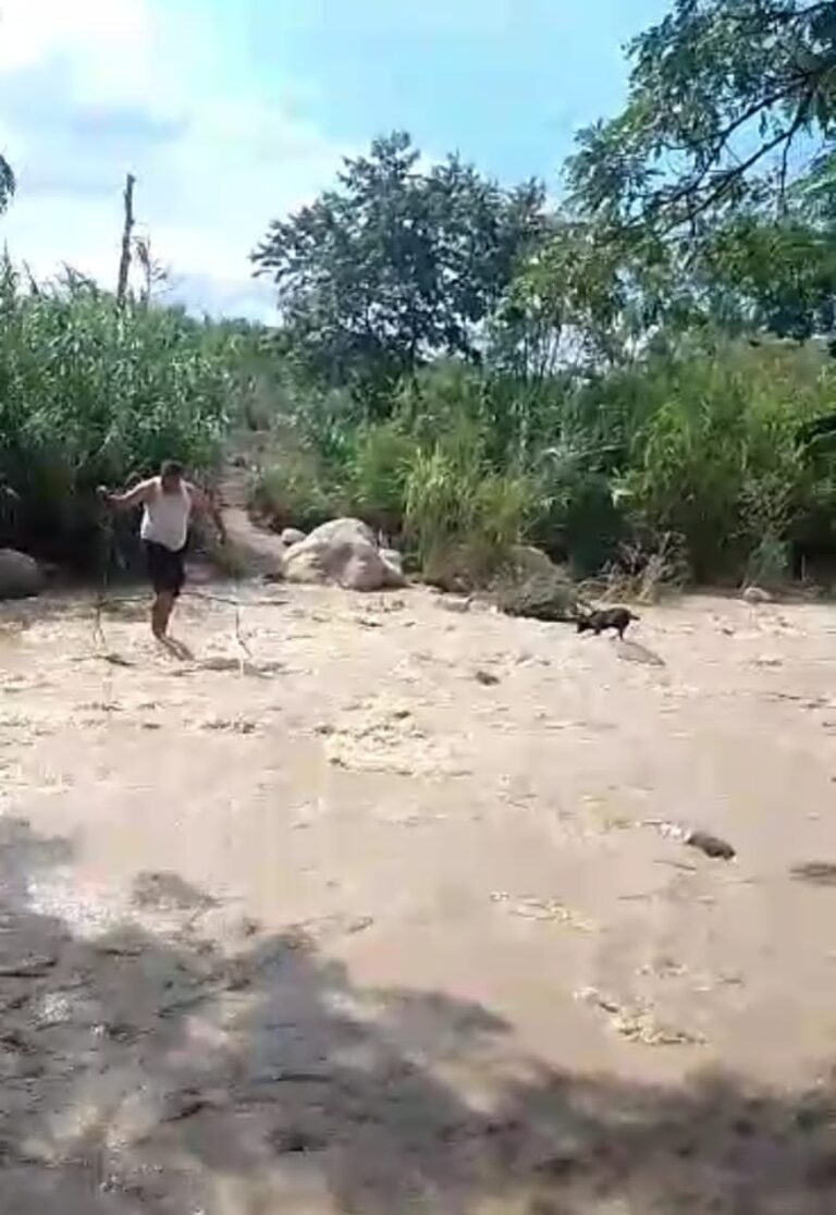 Taxistas del aeropuerto rescatan a un perro de la crecida de La Capacha