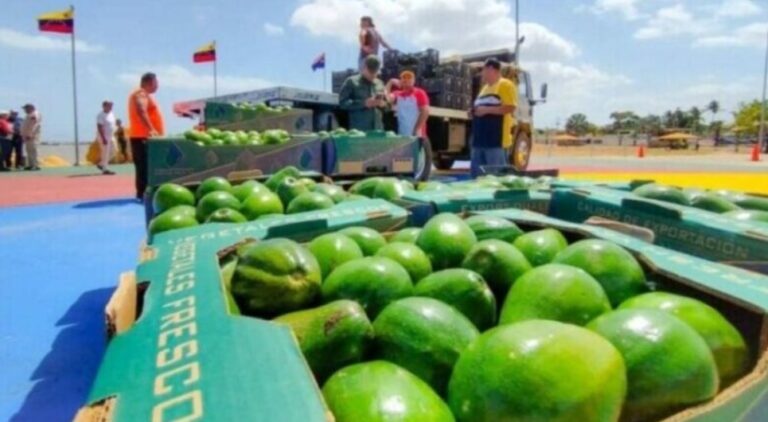 Exportadores falconianos asumen elevados gastos para llegar a las islas ABC