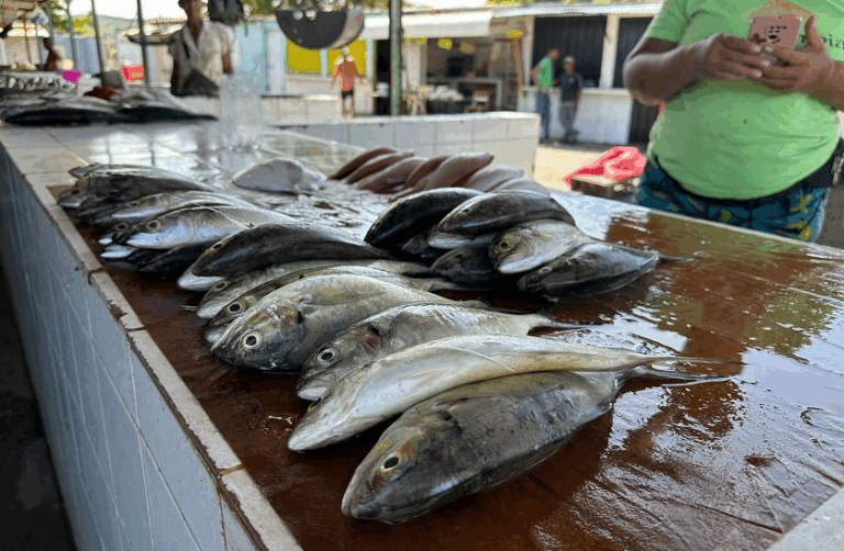 Pescaderos de Cumaná reportan disminución de las ventas luego de las elecciones