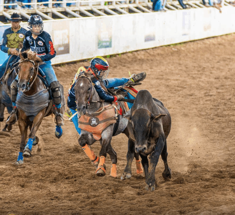Coleada efectiva de Táchira en Juegos Nacionales