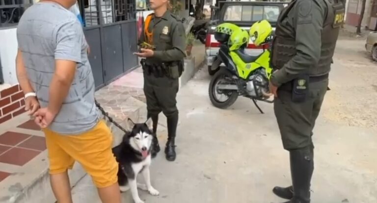 Medida correctiva a hombre que lanzó artefacto pirotécnico a un perro