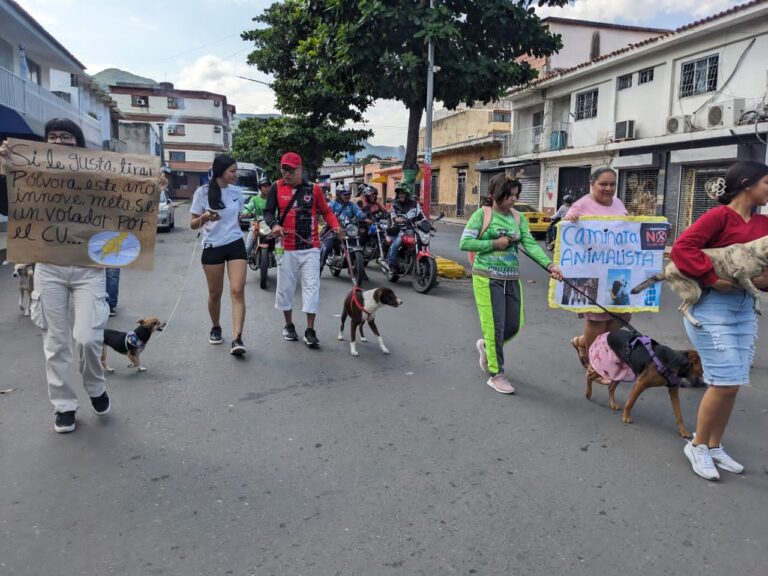 Marcha canina en rechazo a la pólvora