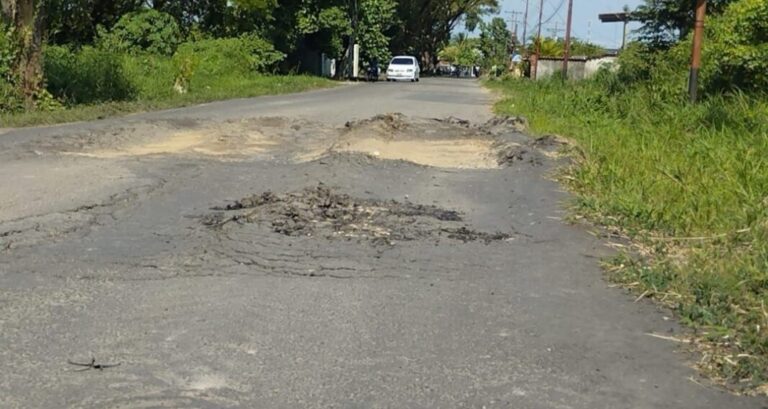 Comunidad de Pueblo Viejo en Guasdualito exige reparación de vía