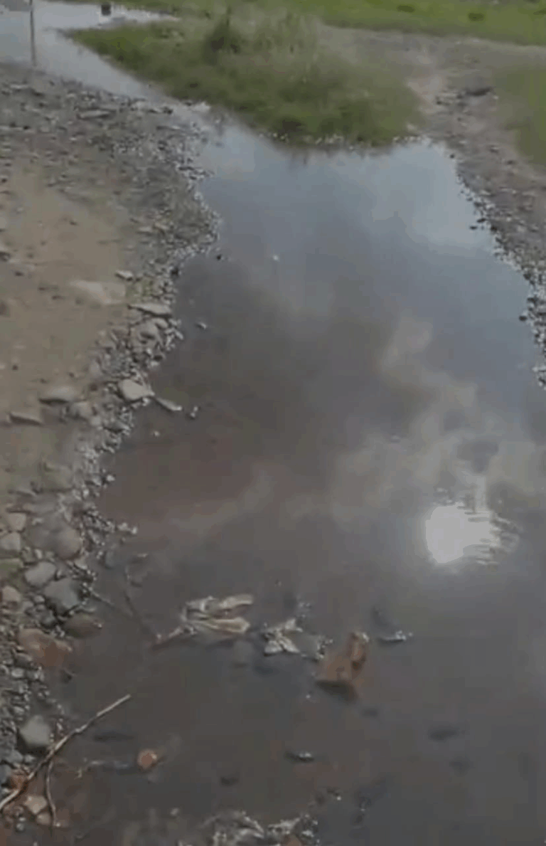 Miles de litros de agua se desperdician en Ureña