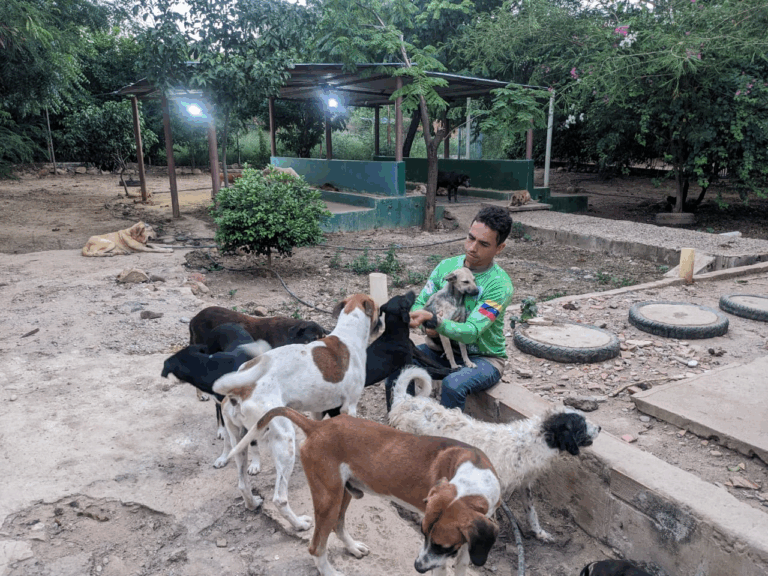 Sin alimento el refugio para animales de la frontera