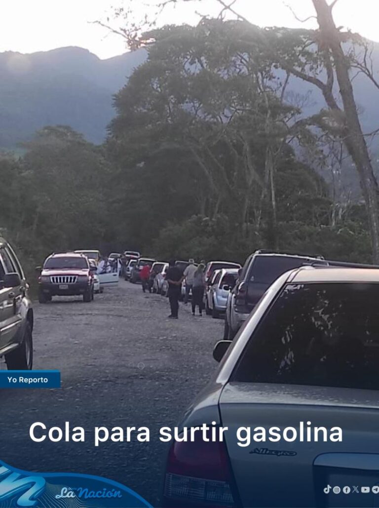Colas por gasolina