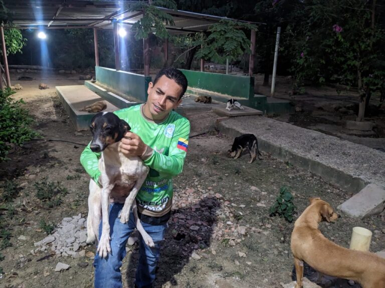 Agotadas reservas de alimentos en refugio para animales