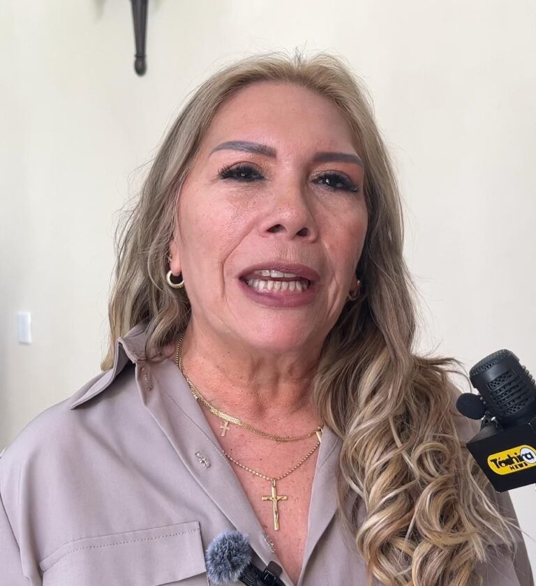 Diputada Nellyver Lugo: “El 10E se desarrollará en paz”