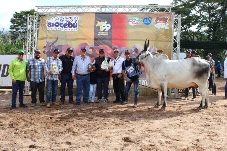 Así se desarrolla la 69 feria agropecuaria