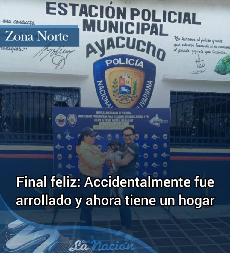 Perro comunitario arrollado en Colón ahora tiene un hogar