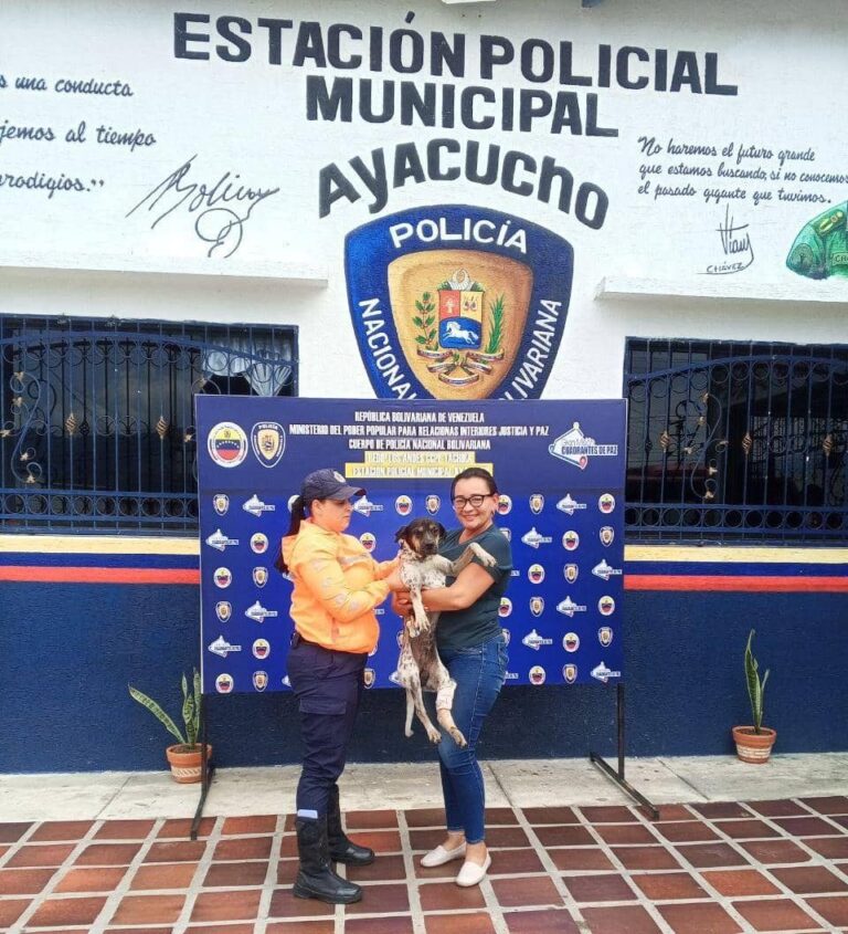 Motociclista adopta perro comunitario luego del accidente en la zona norte