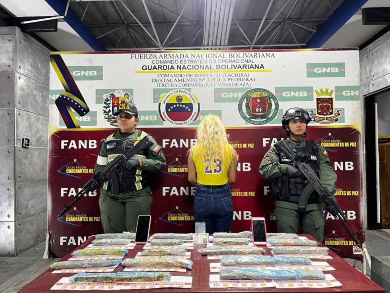 Mujer llevaba 7 kilos de droga en una silla para bebé