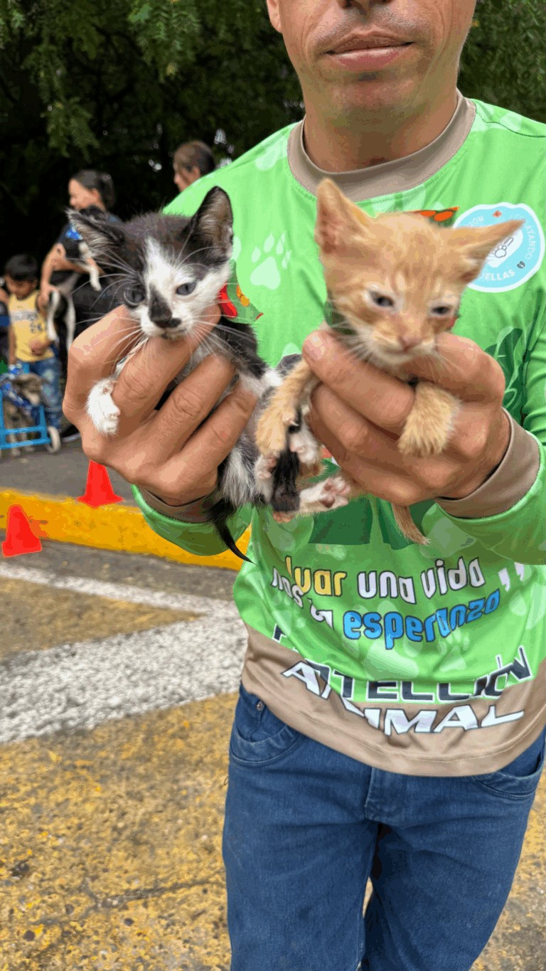 ¡Segunda jornada de adopción de mascotas del 2025!