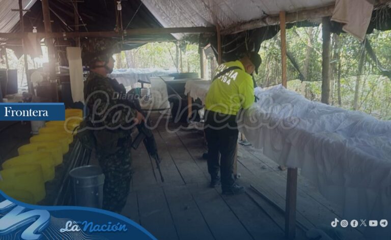 Destruyen laboratorio de estupefacientes en Norte de Santander