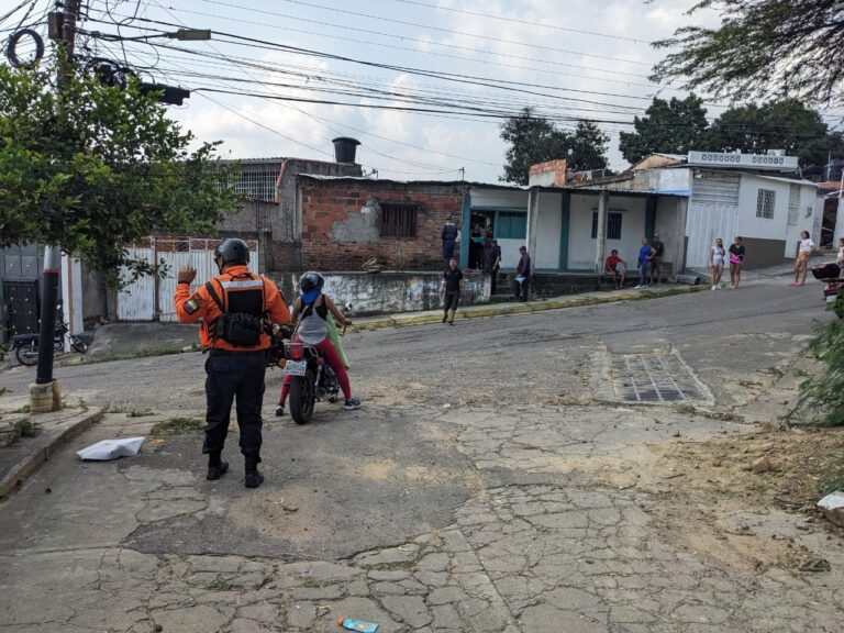 Ataque de abejas en barrio de San Antonio