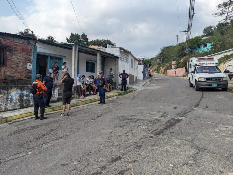Ataque de abejas en barrio de San Antonio