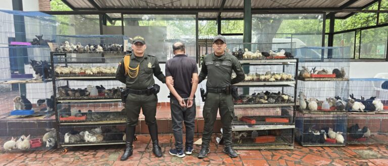 Rescatan a más de 400 animales en Cúcuta