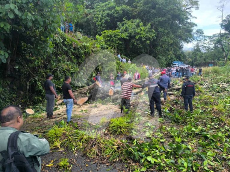 Lluvias persisten en la Zona Norte