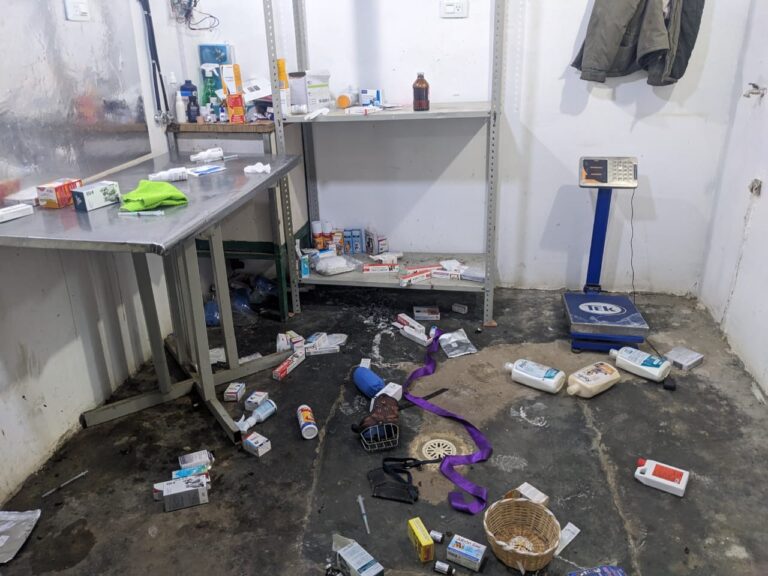 Irrumpió en el refugio de animales y destrozó parte de las instalaciones