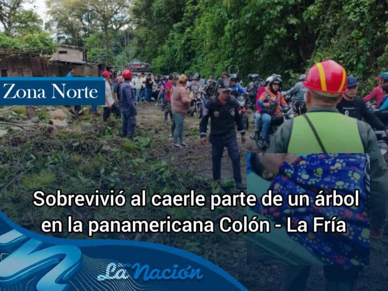 Motorizado sobrevive al caerle parte de un árbol encima