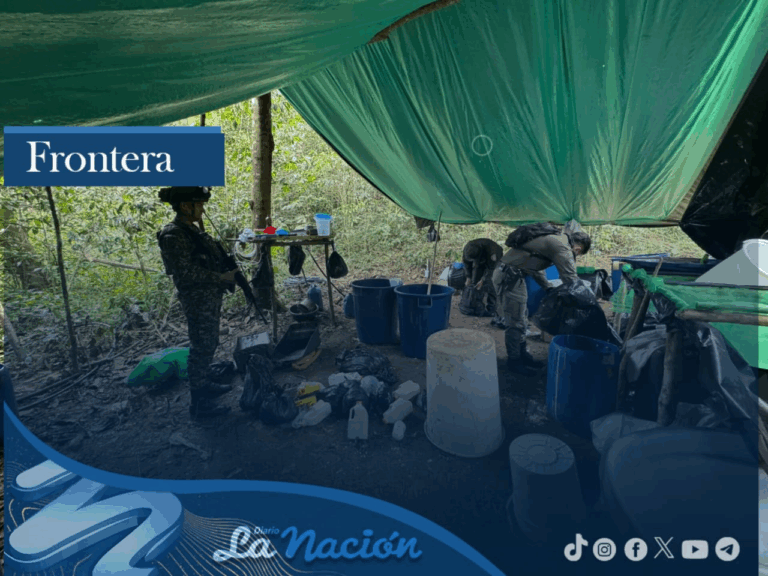 Localizan y destruyen laboratorio de estupefacientes en Cúcuta