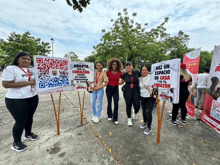 En Cúcuta promueven la adopción de mascotas