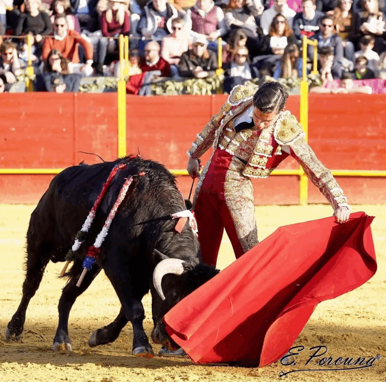Oreja para Rafael de la Cueva en Orgaz, España
