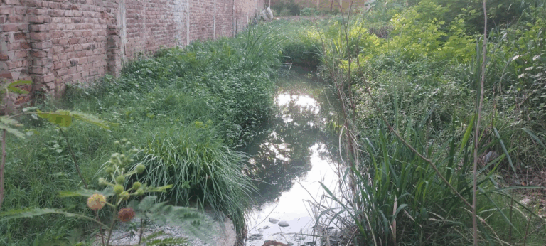 Más de cuatro años con olores nauseabundos en hogares de Ureña