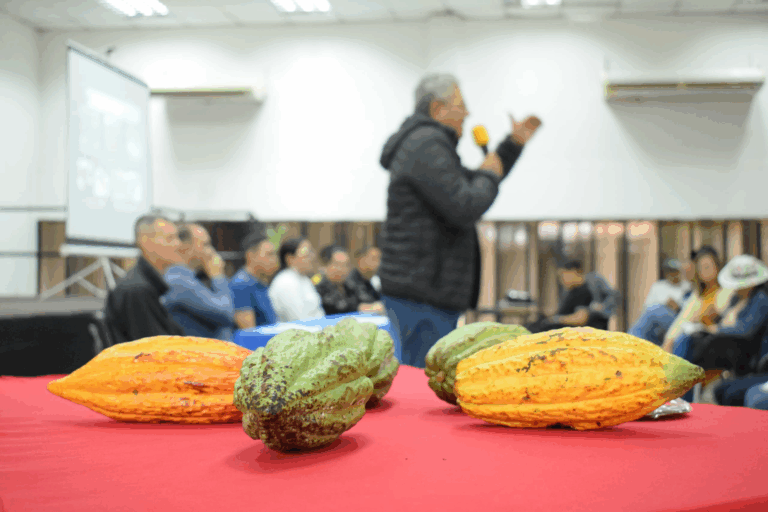 Inicia el Ier Concurso de Cacao y Chocolate de Excelencia Táchira 2025