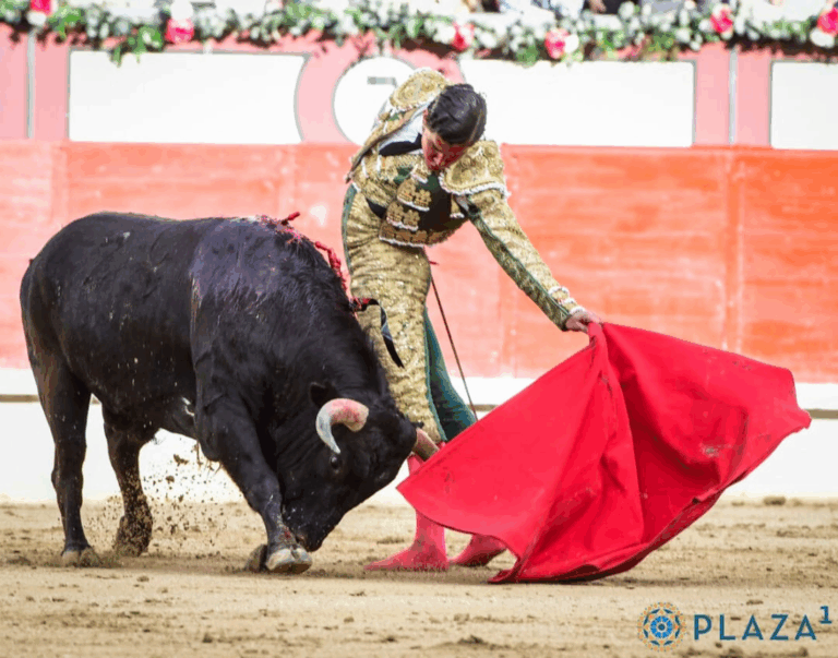 Rafael de la Cueva deja su huella en la Final de “Camino hacia Las Ventas 2024”
