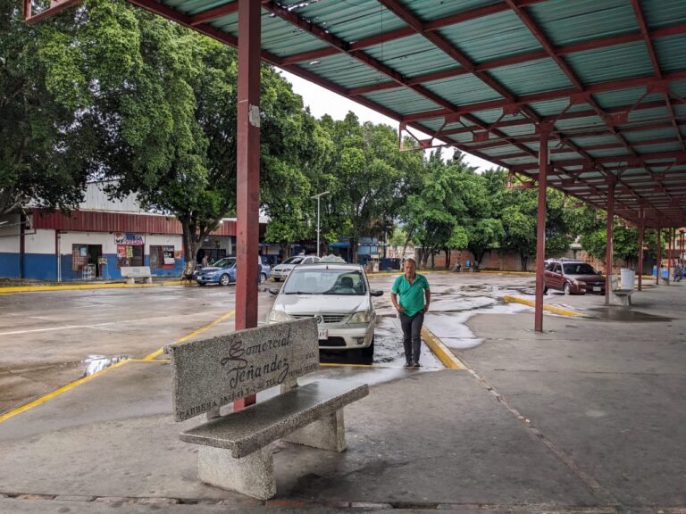 «¡Cargar en La Parada!»: la opción ante la reinante soledad en el terminal de San Antonio