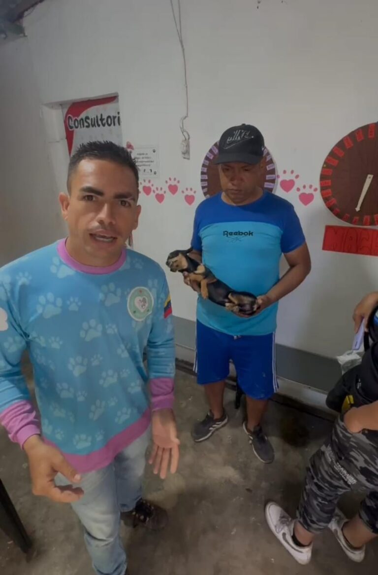 Piden investigar muerte de perro luego de que fuera golpeado con una piedra