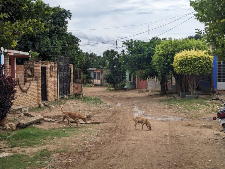 89 familias suman más de 30 días sin luz en San Antonio