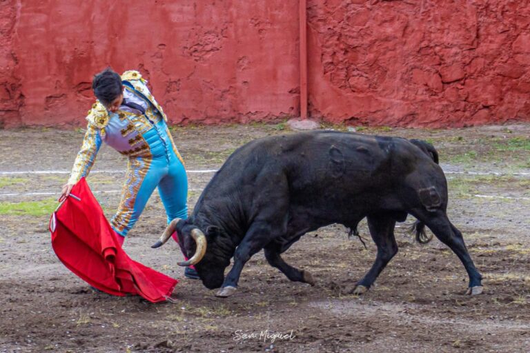 Interesante inicio de temporada para Alejandro Barragán en Perú