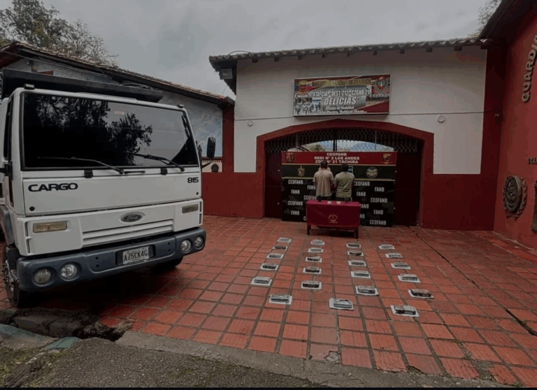 Aprehendidos en Delicias con 26 kilos de estupefacientes ocultos en sacos de hortalizas