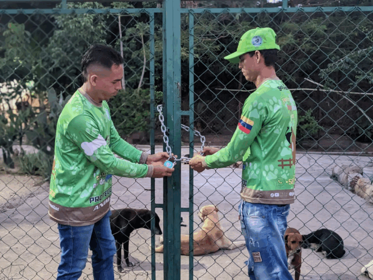 Suspenden ingreso de animales en el refugio de frontera