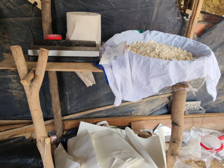 Destruyen laboratorio de estupefacientes en Norte de Santander