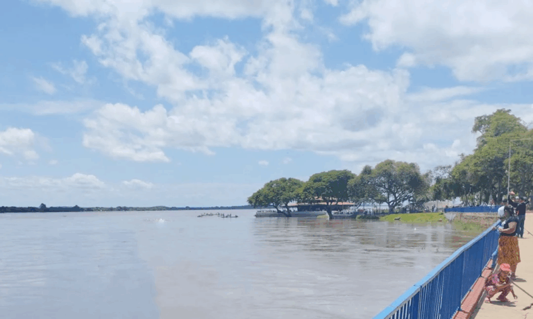 Orinoco crece entre 3 y 5 centímetros diarios en el estado Bolívar: más de 1.200 familias están afectadas