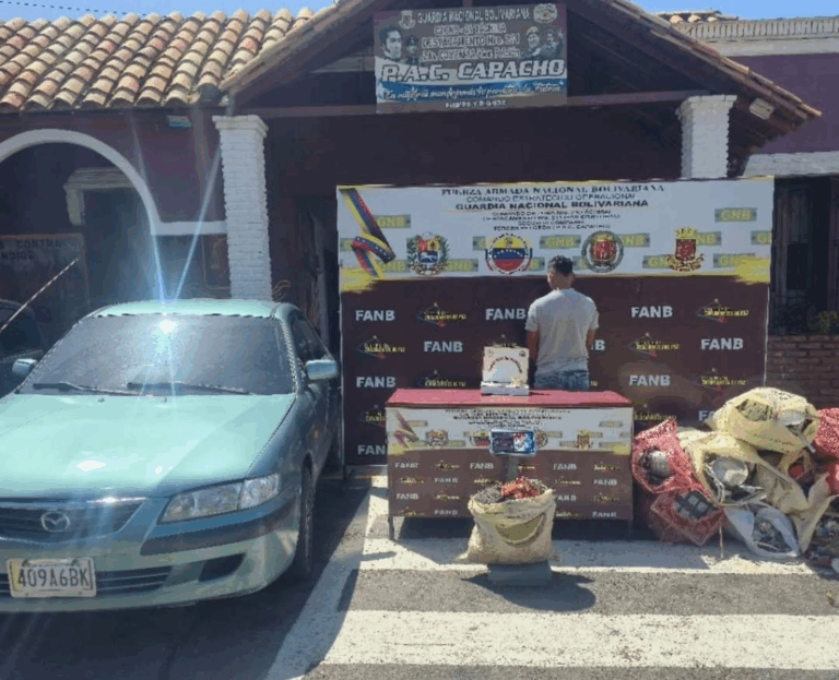 Iba a cruzar frontera con varios kilos de cobre y aluminio