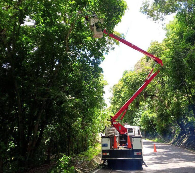 Fortalecen suministro eléctrico de más de 40 mil usuarios en Capacho Nuevo