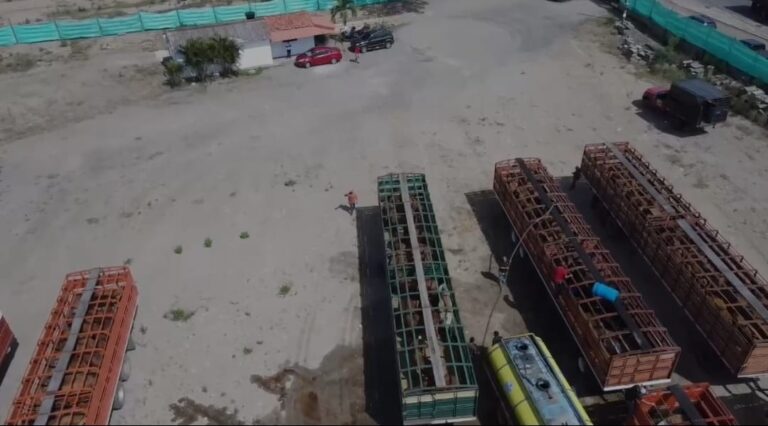 Paraguachón supera en agosto a la frontera de Táchira en intercambio comercial