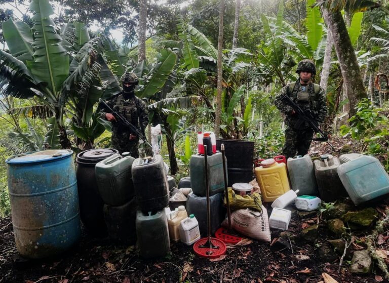 Otro laboratorio de estupefacientes destruido en Norte de Santander