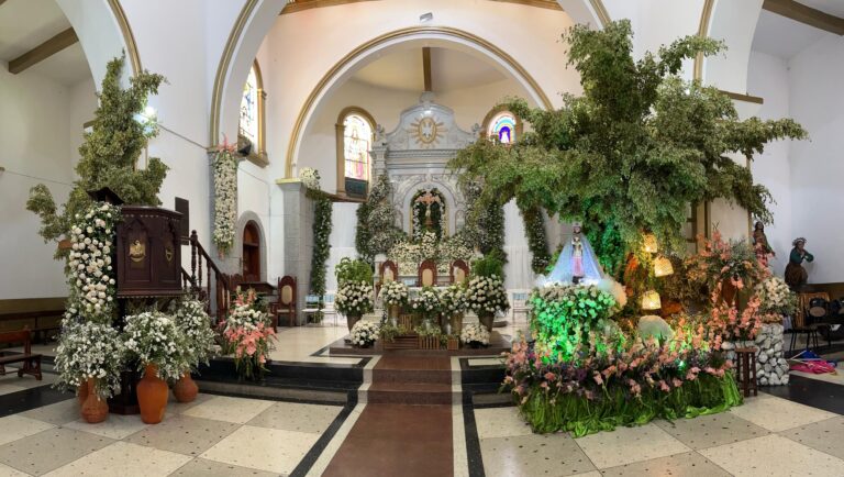 La devoció a la Virgen de Regla y Tovar